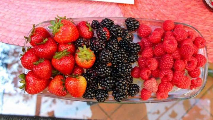 Feria de Berries 2025: actividades y todo sobre este evento