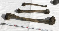 Bones, skull found by divers at undersea mine in Japan where over 100 Korean forced laborers died in WWII