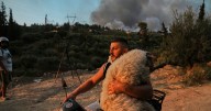 Europe's summer wildfires break terrifying record as 1 MILLION hectares scorched