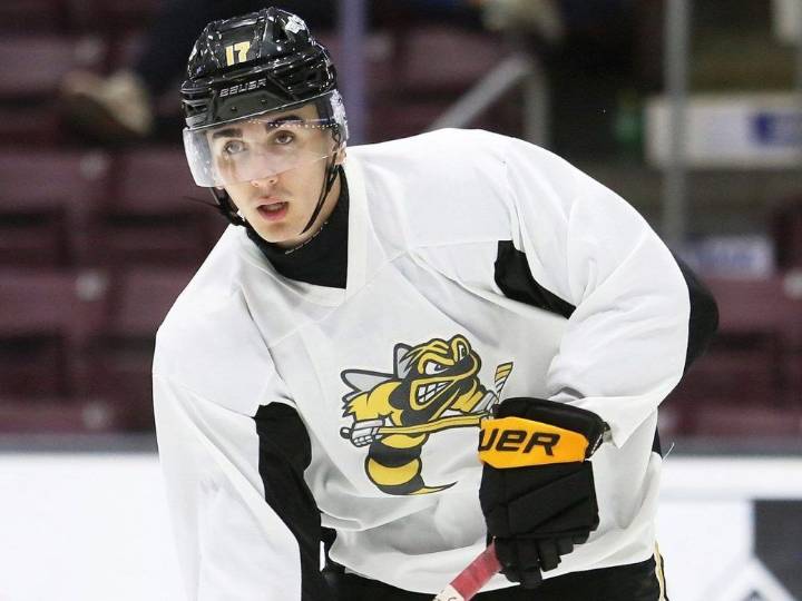 Alessandro Di Iorio, Beckham Edwards excited for Sarnia Sting season