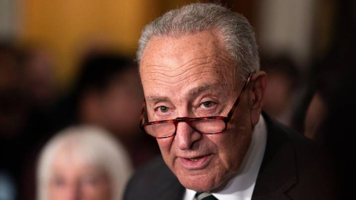Schumer's fictional Massapequa family, the Baileys: A joke, or tribute to the overlooked voter?