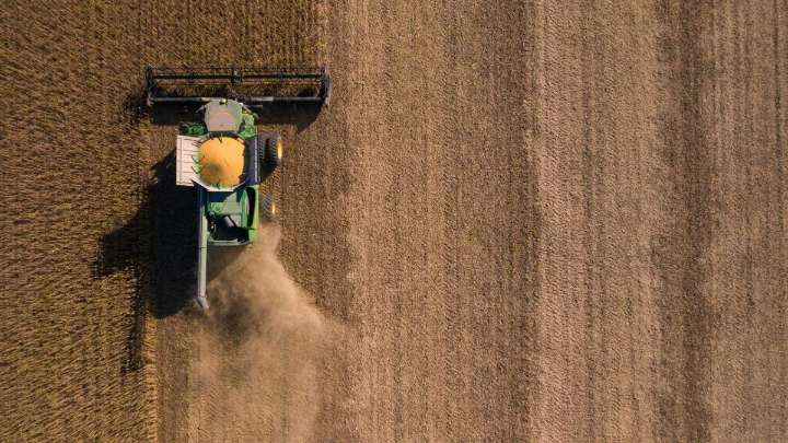 Menores rindes en Estados Unidos y márgenes récord en Argentina reconfiguran el mercado de granos