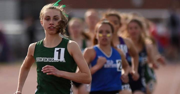 Shen's Reale sees both sides of sports in HOF career