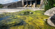 Conestogo Lake beach closed for season due to algae bloom