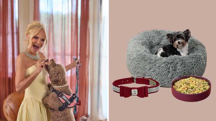 Shop Kristin Chenoweth's favorite buys for her beloved rescue dog