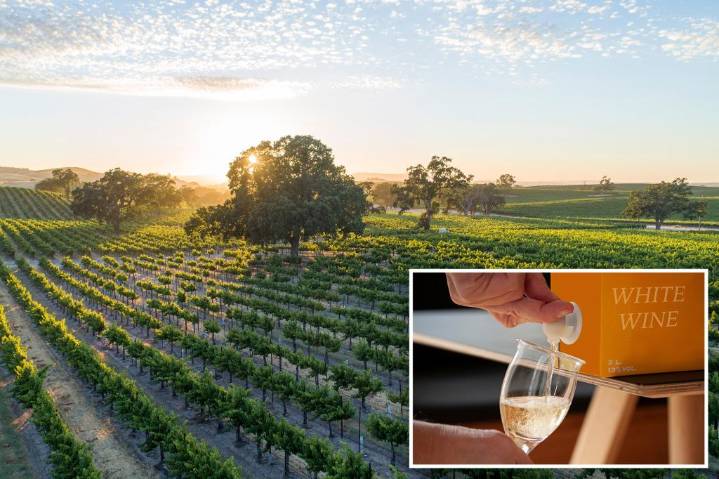 Boxed wine can be better — and cheaper — than some bottled blends, experts say
