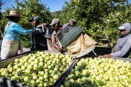 Why American farms can’t survive without migrant workers