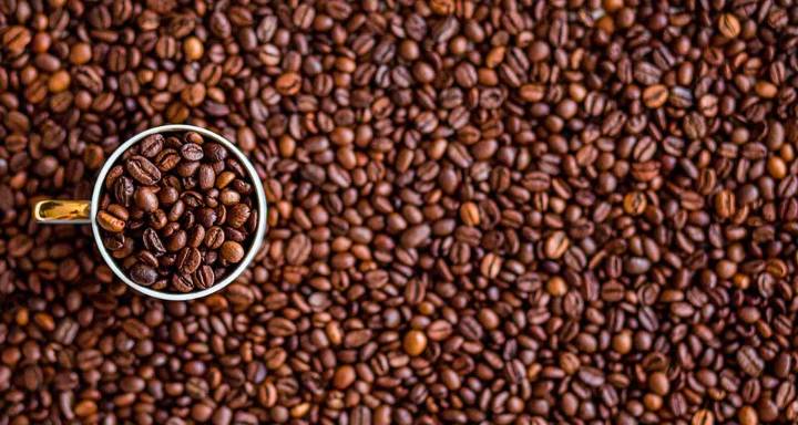 Fedeagro estima que la exportación de café aporta $30 millones al país