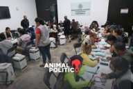 Reforma electoral: expresidentes del INE y exconsejeros llaman a que iniciativa tenga consenso