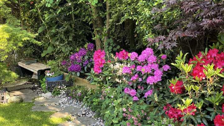 How To Grow A Gorgeous, Healthy Shade Garden (And 4 Mistakes To Avoid)