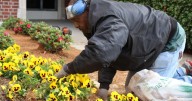 What to know about fall allergies in Louisiana