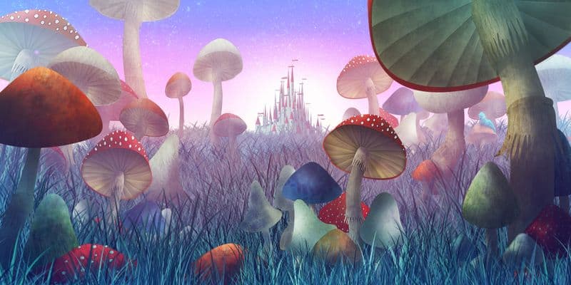 Un viaje al paraíso gastronómico con emocionantes cómics culinarios
