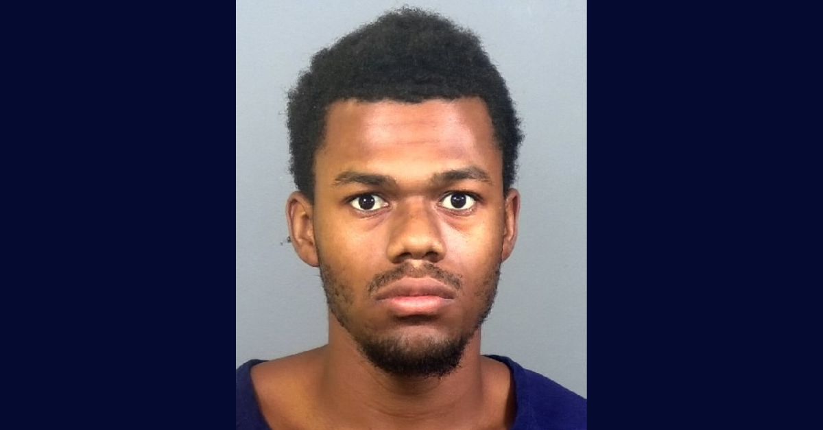 Man repeatedly stabbed brother's girlfriend until his sibling shot him to stop attack: Police