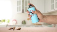 Un insecticida afecta al cerebro de los bebés expuestos en el embarazo