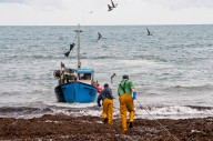 The winners and losers of summer 2025, from foragers to fishermen, and turtles to trout
