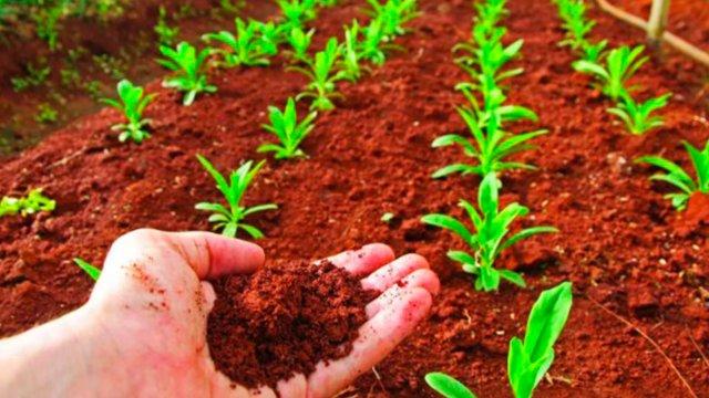 Crisis climática dispara precios