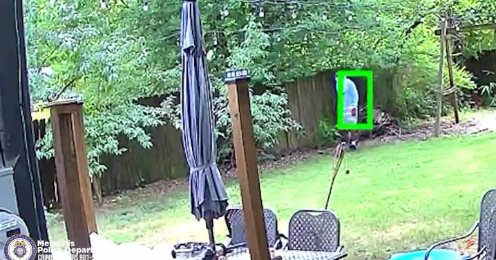 Memphis Police searching for serial burglar in Midtown