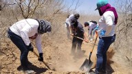 Desaparecidos en Sonora: Realizan cerca de 600 jornadas de búsqueda en 2025