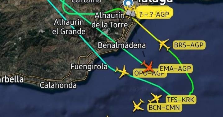 Varias maniobras frustradas en el aeropuerto de Málaga al detectar un ave de gran tamaño herida en una pista