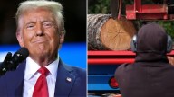 Trump says imports of wood products may pose national security threat to U.S.