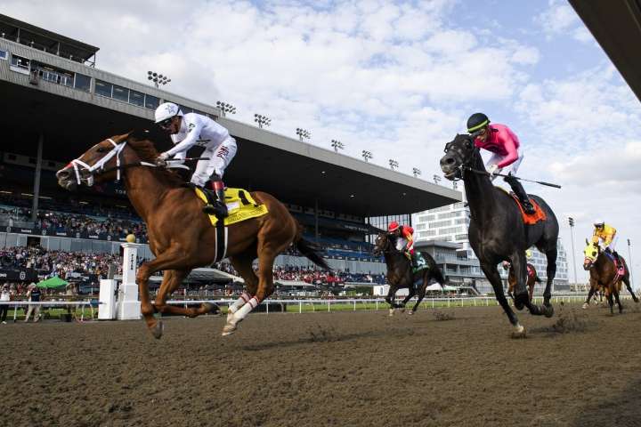 Caitlinhergrtness looking to become first Plate-E. P. Taylor Stakes champion