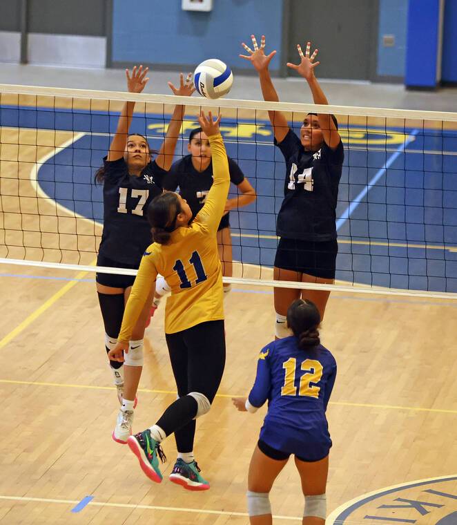 BIIF volleyball: Waiakea wins five-set thriller; Lady Cougars and Trojans sweep