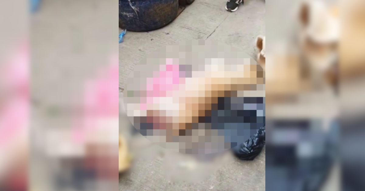 Hallan muerta a una perrita gestante con signos de maltrato y presunto abuso sexual