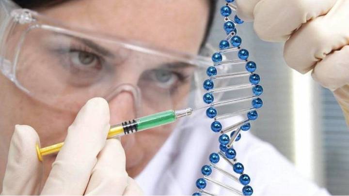 Carreras STEM: expertos afirman que los entornos laborales aún limitan la participación femenina