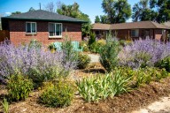 Denver could ban ‘non-functional’ grass from new development, including residential