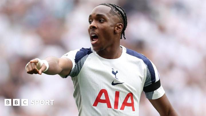 Racist abuse will 'not bring down' Tottenham's Tel