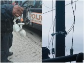 Desinstalan sistema de videovigilancia del crimen organizado en NL