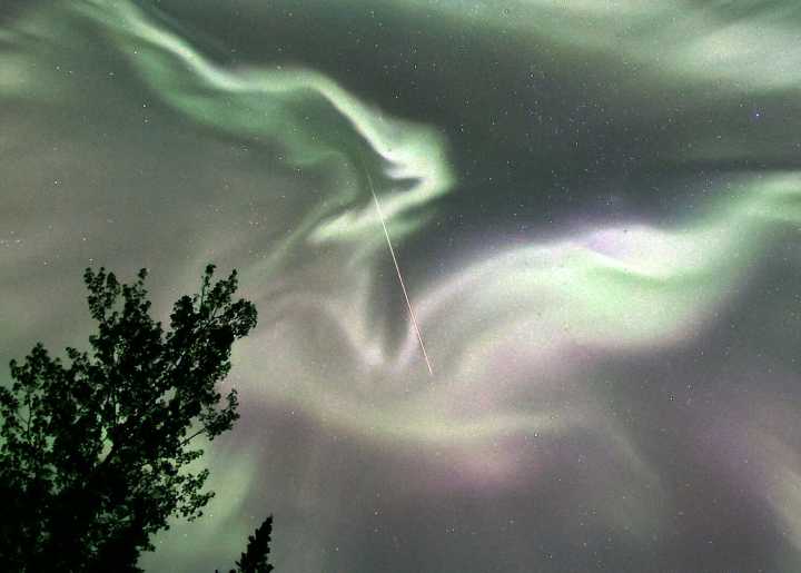 Astro Bob: August — a great month to stay up late