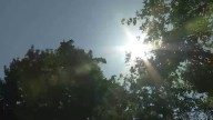 Altas temperaturas y humedad en San Diego para finales de semana