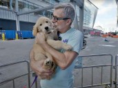 Chief Dog Officer Embarks on Royal Caribbean’s Star of the Seas