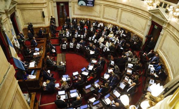 El Senado sesiona hoy por la emergencia pediátrica y universidades