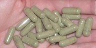 City of Northampton to hold vote on banning sale of Kratom