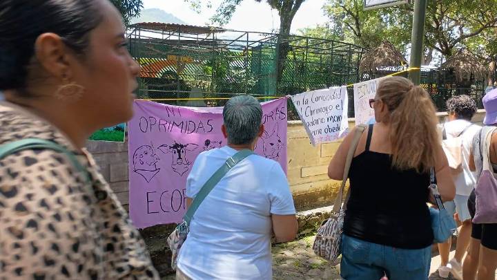 “Animales del Paseo del Río Orizaba viven hacinados y en riesgo”, acusan colectivos