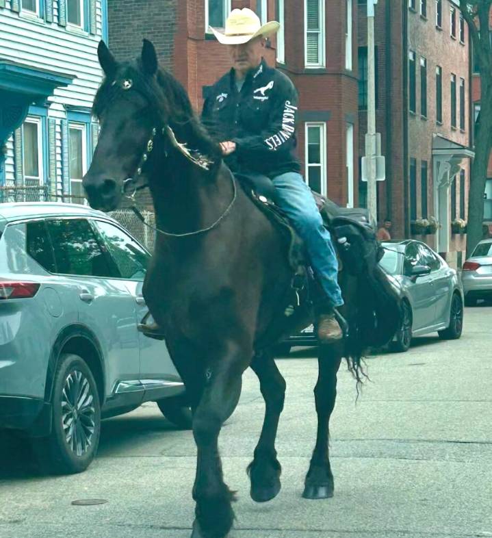 Man on a Horse Riding Down Around South Boston