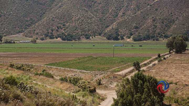 Despojan de nómina a empleado agrícola en Ensenada