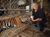 B.C. officers went searching for a lion. They found illicit cannabis and fentanyl instead