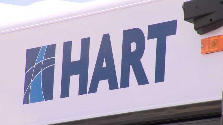 Hillsborough lawmaker pushes to dissolve HART, launch city