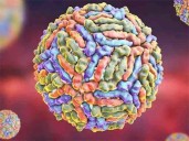 Italia reportó 275 casos y 21 muertes por fiebre del Nilo Occidental