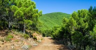 Estepona intensifica los controles en los accesos a los parajes naturales para evitar incendios forestales