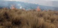 Incendio forestal en Pasco: Controlan emergencia reportada en el distrito de Vilcabamba