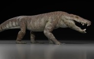 Este pariente del cocodrilo fue uno de los depredadores más temibles de los dinosaurios