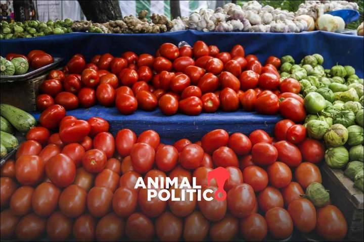 Inflación anual cae a 3.49 % en agosto; destacan bajas en estos productos