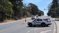 Pedestrian hit in Esquimalt dies of their injuries: West Shore RCMP