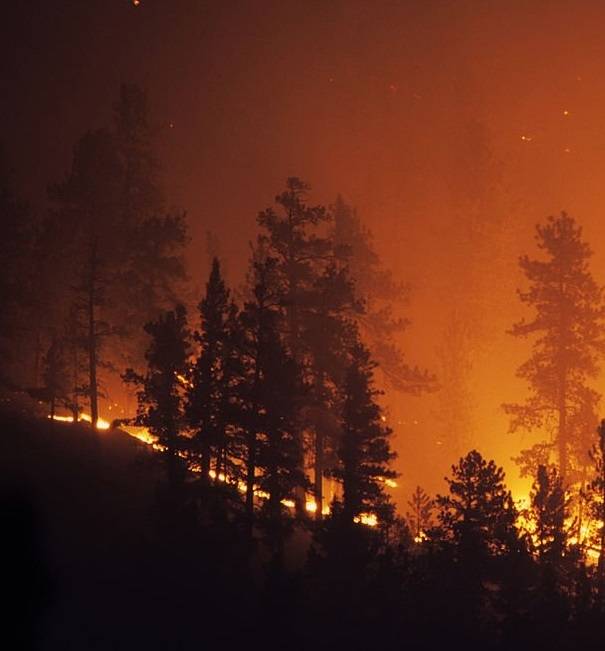 La Red SSPA recuerda la necesidad de actuar contra la despoblación y el abandono de zonas rurales ante la oleada de incendios