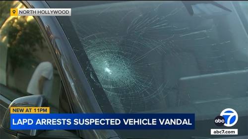Vandalism suspect arrested after windows shattered on multiple vehicles in North Hollywood, LAPD says
