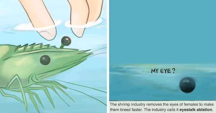 13 Thought-Provoking Comics By This Artist That Showcase The Urgent Problems We Can’t Ignore